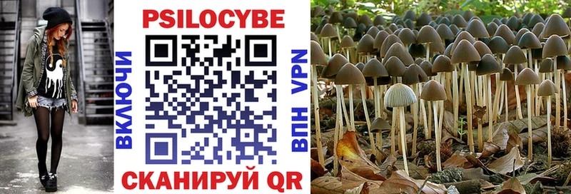 mega онион  что такое наркотик  Калининград  Псилоцибиновые грибы мухоморы 