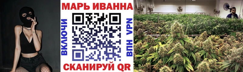 купить  сайты  Калининград  Бошки марихуана Amnesia 